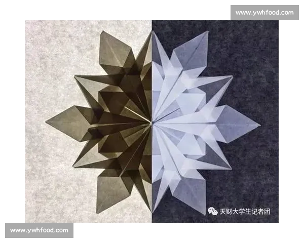 高手云集折纸比赛现场惊艳瞬间创意作品令人叹为观止